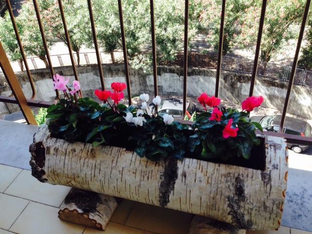 Chiavi Antiche B&B Salerno Room photo